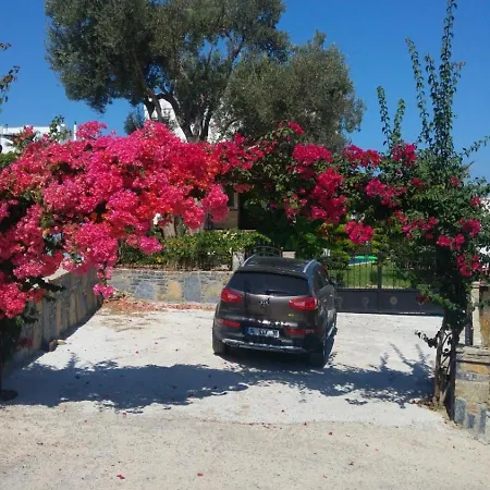 Villa Sea View Flower *