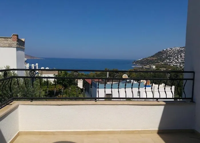 Sea View Flower Vilă Bodrum