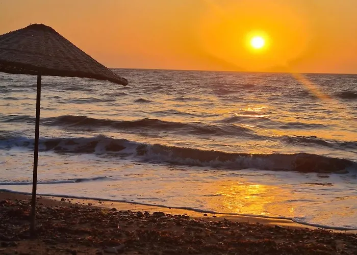 Sea View Flower Vilă *