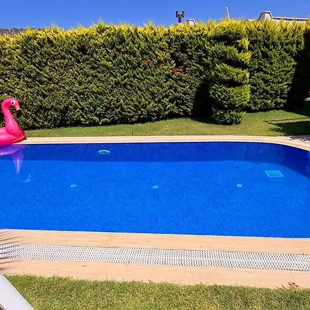 ヴィラ Sea View Flower *