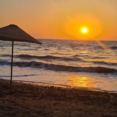 Sea View Flower ヴィラ *