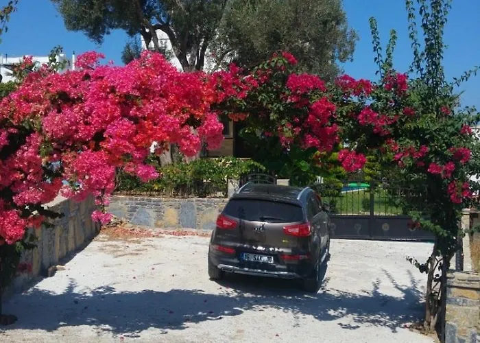 Villa Sea View Flower *