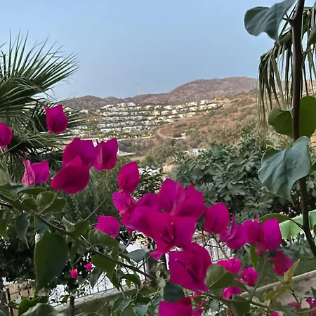 Villa Sea View Flower *