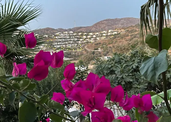 Вилла Sea View Flower *